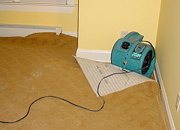 How To Dry Wet Carpet Certified Restoration In San Go Photo By Bigstockphoto